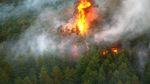 Emblematica pădure Fontainebleau este în flăcări lângă Paris / Două avioane bombardiere cu apă au fost mobilizate pentru stingerea incendiului