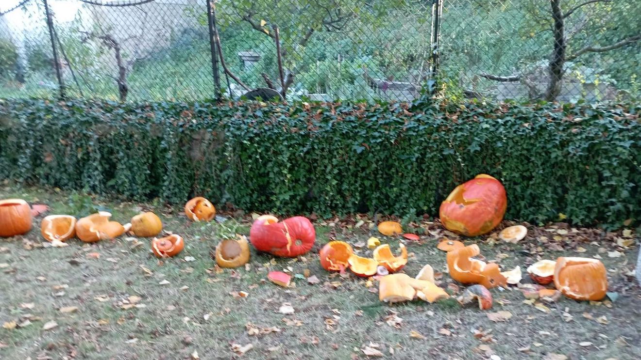 Un preot dintr-un sat ceh își cere scuze pentru că a spart dovlecii pregătiți de copii pentru Halloween/ Dovlecii sculptați au fost sparți și a doua zi după ce au fost înlocuiți/ Preotul consideră Halloween o sărbătoare satanică