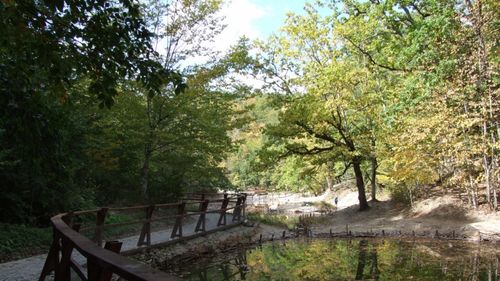 Autovehiculele de peste 13 tone nu mai pot circula pe DN 12C, între Bicaz Chei şi Lacu Roşu, anunță Comitetul Judeţean pentru Situaţii de Urgenţă  Neamţ / Restricţia va fi valabilă pentru 30 zile şi vine ca urmare a degradării terenului pe porţiunea amintită