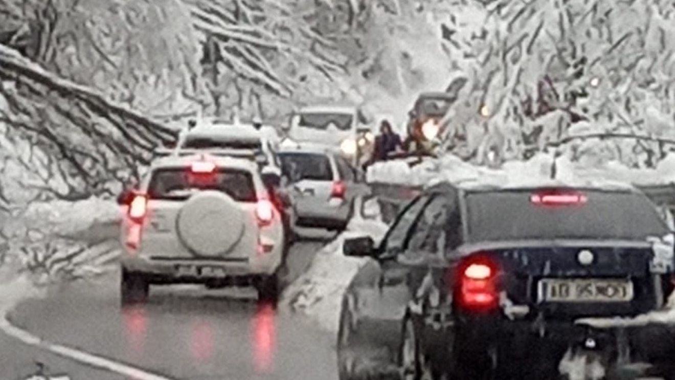 Cod portocaliu de ninsori abundente și strat de zăpadă consistent în zona Munților Apuseni / Au fost pre-alertate toate subunitățile ISU