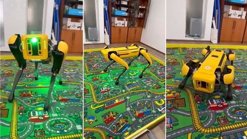 Spot, câinele robot de 100.000 de euro „dresat” cu AI să se plimbe singur prin Facultatea de Automatică și Calculatoare din Iași: Nu latră, nu mușcă și nu cere de mâncare, dar știe să sară peste praguri (VIDEO)