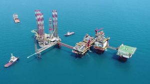 OMV a dat România în judecată pe clauza de preemţiune din legea offshore privind vânzarea gazului din Marea Neagră. Virgil Popescu: Nu cred că are vreo şansă la Curtea de Arbitraj