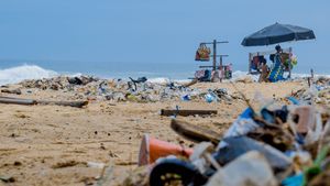 Peste 350 de voluntari au strâns peste 7 metri cubi de gunoaie de pe plajele din Mamaia, Constanţa şi Mangalia