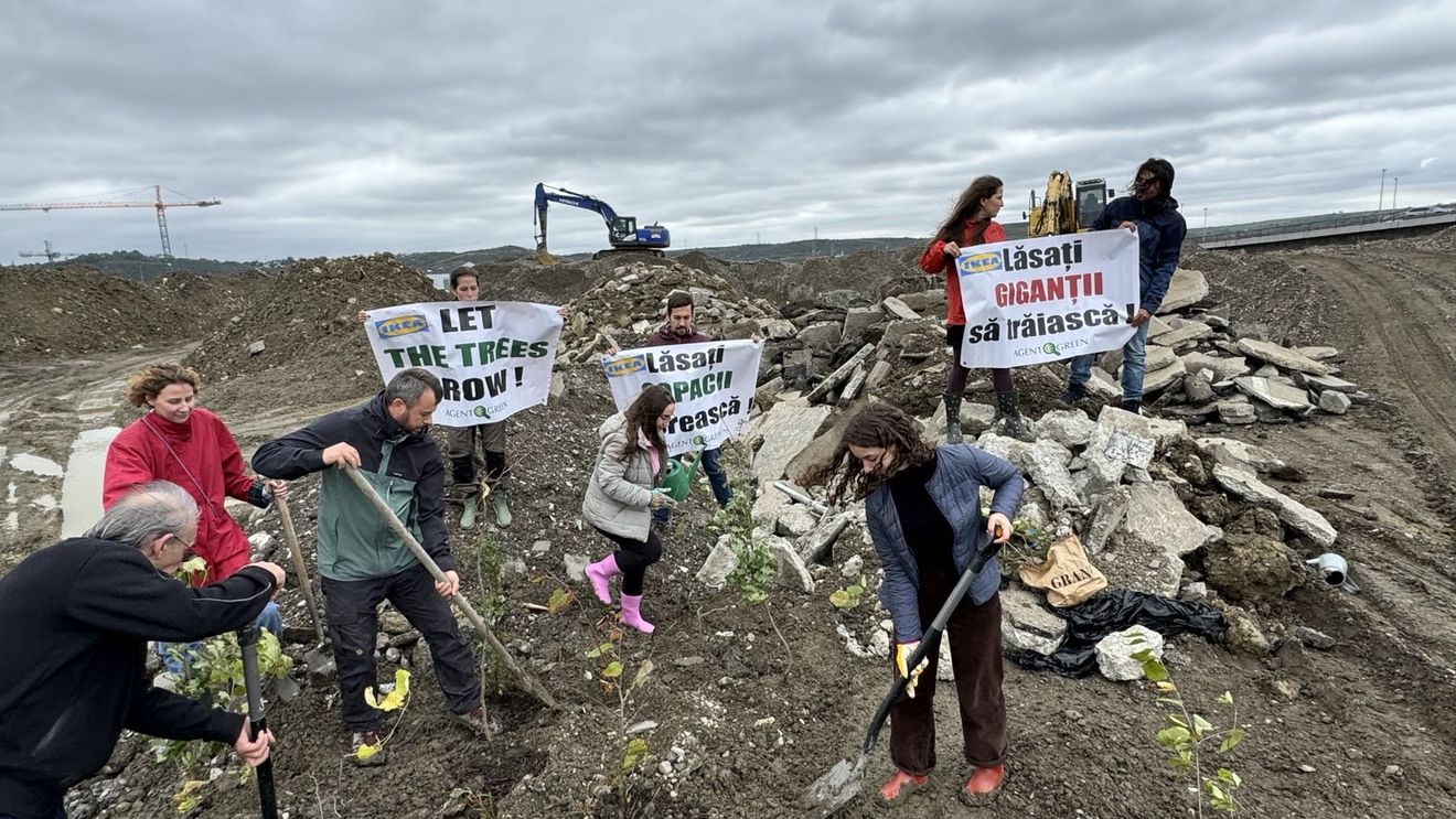 Protest pe șantierul IKEA din Iași / ”IKEA și furnizorii săi distrug ultimele oaze cu biodiversitate din România” / ”Compania nu ține cont nici de legile scrise, nici de căile nescrise ale naturii”