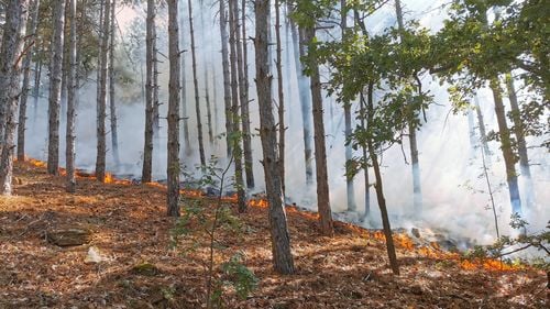 Incendiu de vegetaţie uscată şi litieră la Râşnov, pe circa 4000 de metri pătrați