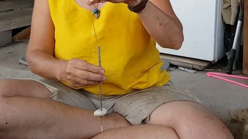 Pietricele misterioase descoperite în Israel ar putea fi primele dovezi ale unor unelte asemănătoare roților, folosite cu aproximativ 12.000 de ani în urmă