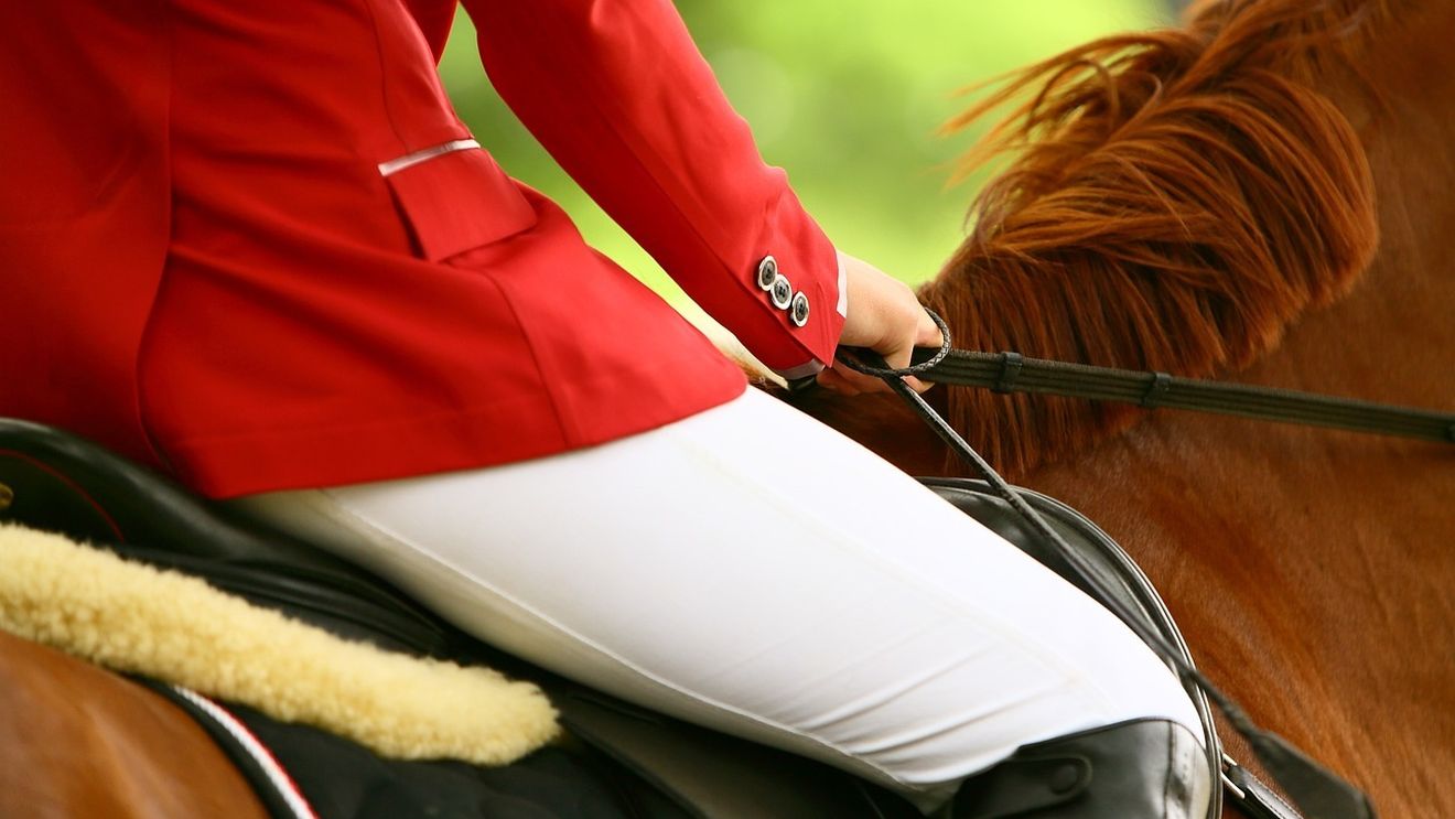 Număr record de călăreţi şi cai înscrişi la Karpatia Horse Show 2023 / Concursul este etapă pentru calificarea la Jocurile Olimpice / Probe de dresaj, cross-country și sărituri peste obstacole