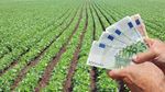 UE alocă peste 56 de milioane de euro sub formă de sprijin de urgență pentru fermierii din Portugalia, România, Cipru, Croația și Slovenia
