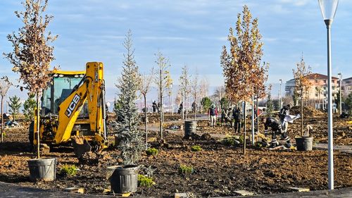 Primăria Sibiu organizează concurs pentru alegerea numelui unui parc nou construit / Premiul este un copac și o bicicletă / Într-un alt concurs s-a ales numele Gușterland, pentru o zonă din apropierea cartierului Gușterița