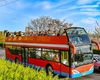 Traseu deviat la Constanța pentru autobuzele etajate de pe linia City Tour din cauza cozilor formate de tiruri în portul maritim