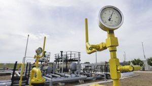 Ministrul Energiei: Actul normativ ce privește reglementarea preţului la gaze va fi adoptat cel mai târziu săptămâna viitoare