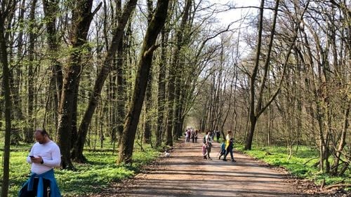 Nicușor Dan, reacție după ce a fost acuzat că ar fi tergiversat rezolvarea accesului auto în cartierul Greenfield: Locuitorii din Greenfield sunt victimele unui dezvoltator care s-a grăbit să facă blocuri fără să facă și drumuri / Nu sunt de acord și nu voi face niciun demers pentru un drum permanent prin pădure