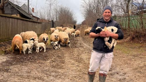 Un cioban căruia i-au murit oile din cauza unui tratament primește acum ovine din toată țara / ”Dumnezeu să vă dea înzecit ceea ce mi-ați dat voie mie!”