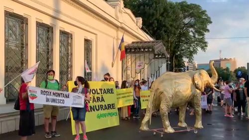 VIDEO Protest la Palatul Cotroceni: ”Roșia Montană a devenit elefantul nevăzut din încăpere. Îi cerem preşedintelui Klaus Iohannis să scoată elefantul de aur din Guvern”