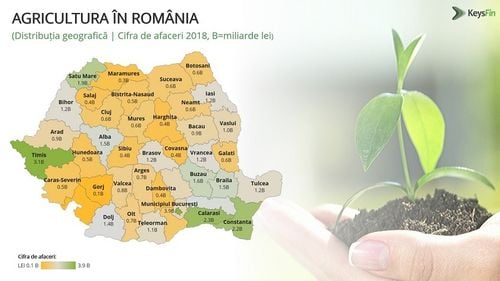 Analiză KeysFin: Agricultura românească va crește cu jumătate de miliard de euro în 2019
