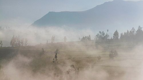 Meteorologii anunţă avansul unei mase de aer încărcate cu particule de praf de origine sahariană în perioada 6-9 februarie