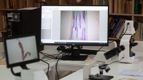 FOTO/VIDEO „FutureLabs” și „Moara de plastic” - proiecte de educație și protecția mediului pentru școli și comunitățile rurale din Ținutul Buzăului / Cum funcționează