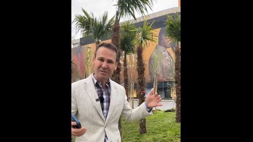 VIDEO Robert Negoiță: Uitați cu ce surpriză venim! La Piața Unirii avem palmieri