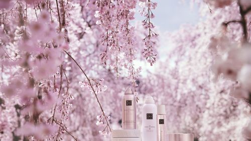 Rituals Cosmetics deschide al doilea magazin în România în Sun Plaza Mall din București