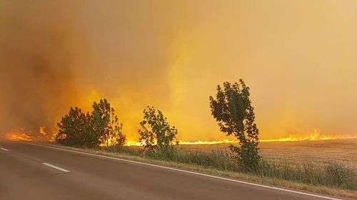 UPDATE Incendiu lângă DN 1, în zona Bănești. Traficul rutier a fost îngreunat, iar circulația trenurilor a fost oprită