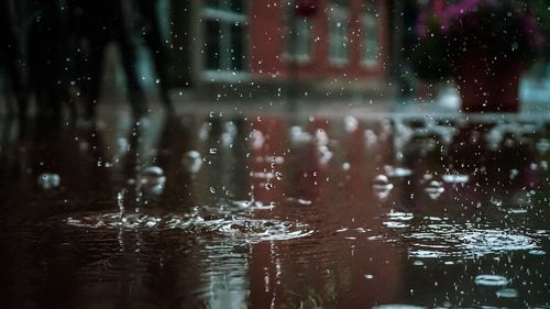 METEO Ploi însemnate cantitativ în majoritatea zonelor ţării, până joi / În unele zone a fost emis cod galben, cantitatea de precipitaţii urmând a depăşi 40 de litri pe metru pătrat
