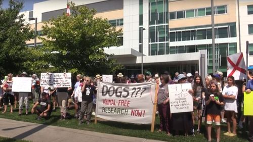 VIDEO | Protest în Canada: Activiștii cer închiderea unei clinici care efectua cercetări neautorizate pe câini