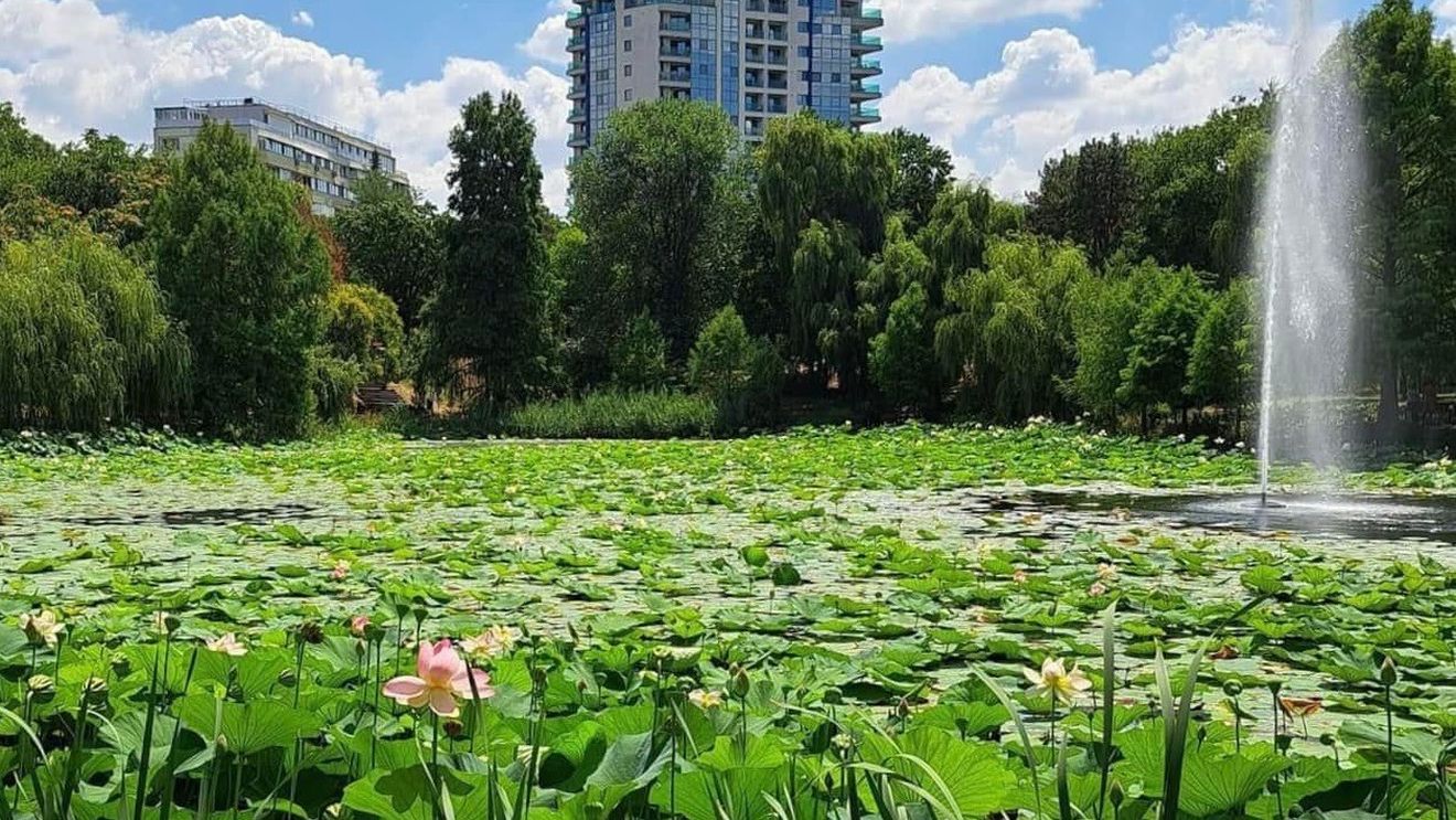 Nicușor Dan anunță demararea unui proiect pentru salvarea lacului din Parcul Circului