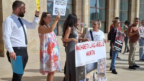 Protest vs. dezbatere: ONG-urile acuză ANSVSA că pregătește ‘’măcelul câinilor fără stăpân’’ (VIDEO&FOTO)