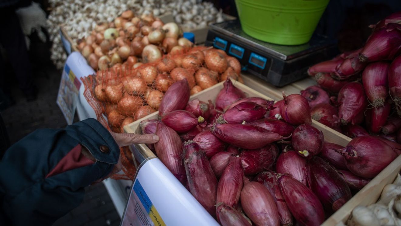 În Filipine ceapa este mai scumpă decât carnea de vită/ Kilogramul se vinde cu peste 11 dolari