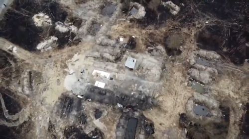 Imagini video arată că trupele ruse au săpat tranşee în Pădurea Roșie, zona restricţionată şi puternic radioactivă de lângă Cernobîl