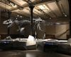 Un schelet de T-Rex, adjudecat pentru 50 de milioane de dolari la New York, un preţ-record