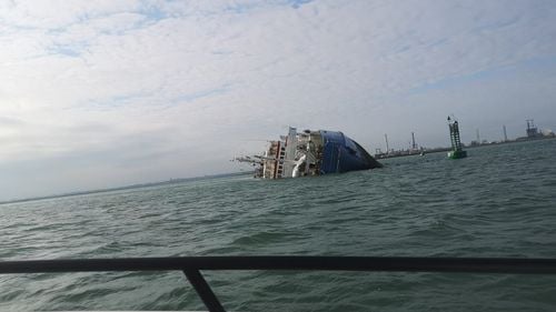 VIDEO O navă cu peste 14.000 de oi s-a răsturnat în Portul Midia Năvodari