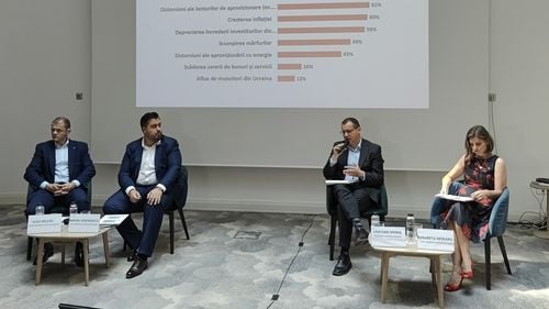 Avertisment din partea mediului de afaceri: Vor exista probabil jumătate de milion de locuri de muncă, pe care nu are cine să le ocupe, până în 2026/ Impactul asupra Produsului Intern Brut poate ajunge între 9 și 18 miliarde euro în 2026