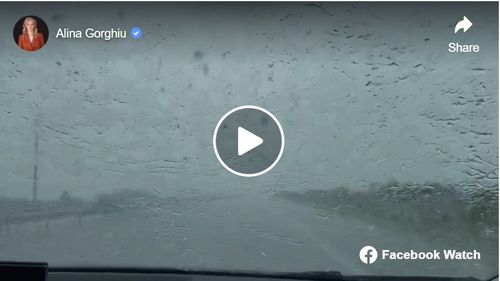 Cum se circulă pe autostrada București-Pitești pe cod portocaliu de vijelii. Alina Gorghiu a transmis live pe Facebook