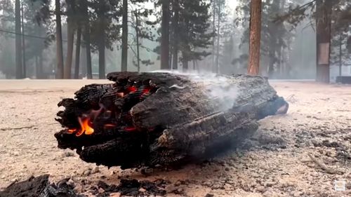 VIDEO "Dixie Fire" devine al doilea cel mai mare incendiu din istoria statului California