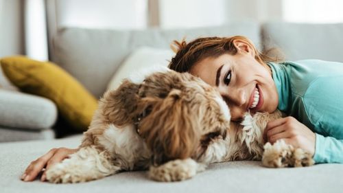 Bolile de care ne feresc animalele de companie. Câinele și pisica ne eliberează de stres mai eficient decât oamenii / Sunt „doctorii fără halat”