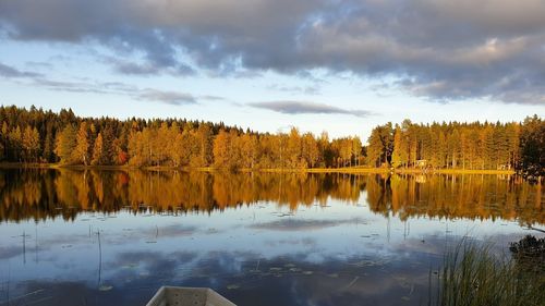 Raport: Declin îngrijorător al biodiversităţii în apele de coastă ale Finlandei / Eutrofizarea - excesul de nutrienți din ape cauzat de activitatea umană - constituie principala amenințare