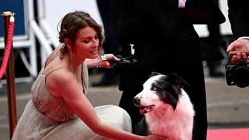 Leo Messi, câinele momentului / A fost premiat la Cannes și a fost invitat special la Gala Oscar