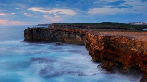 O fosilă de acum 500 de milioane de ani ar putea fi rămășița celui mai vechi animal de pe Pământ