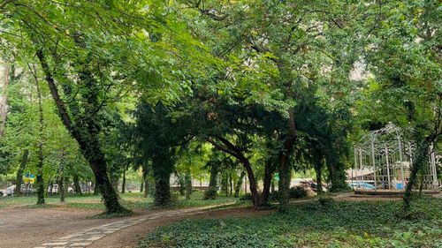 Una dintre cele mai vechi sere din București se redeschide publicului în cadrul festivalului UNFINISHED