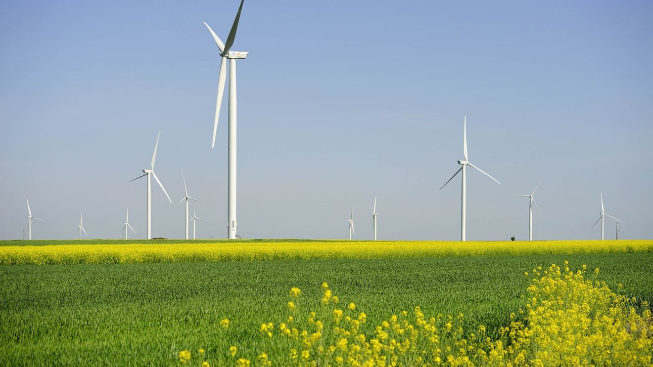 Energia regenerabilă a depăşit pentru prima dată cărbunele ca principală sursă de electricitate, la nivel global