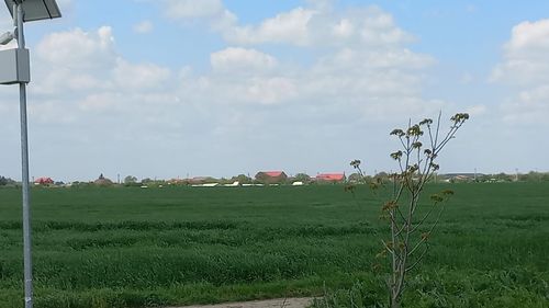 Depozit de deșeuri pe un teren de 24 hectare, cu o capacitate de 3 milioane de tone, aprobat pe un teren lângă București / Locuitorii din zonă, revoltați: „Practic nu vom avea unde să ne creştem copiii” / Ce spune primarul Sectorului 4