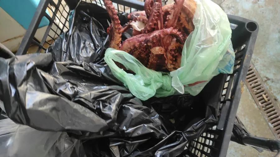 anpc alimente expirate peste pescarie mizerie