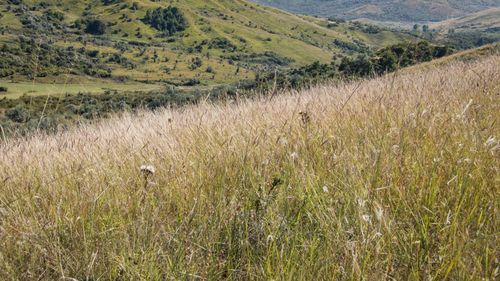 „Ținutul Buzăului” obține oficial titlul de Geoparc Internaţional UNESCO