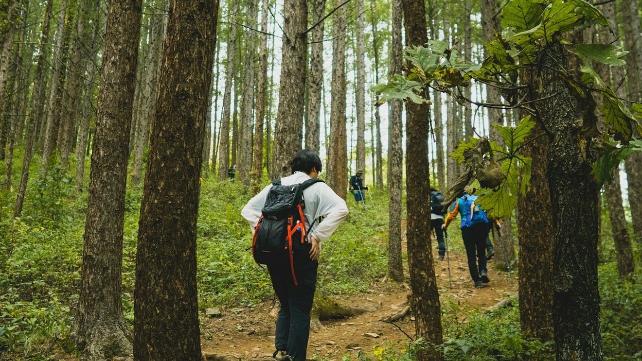 Excursiile montane, soluția pentru a scăpa de caniculă. Regulile pe care trebuie să le respecte turiștii