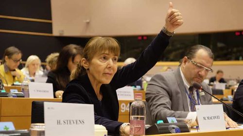 Monica Macovei a demisionat din GDS, după plecarea lui Gabriel Liiceanu