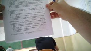Unul dintre subiectele Bac-ului la română, căutat pe dexoline.ro chiar în timpul examenului/ Unele căutări au fost făcute și înainte de ora 6/ Căutări intense și pe Google