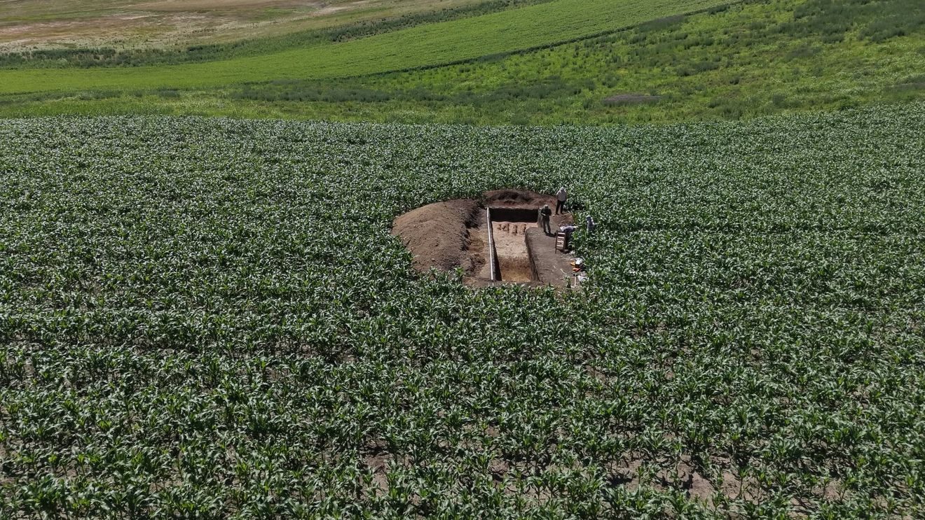 FOTO Istorie suprapusă într-un lan de porumb / Între civilizația Cucuteni și ororile celui de-al Doilea Război Mondial / Descoperiri  ale arheologilor ieșeni la Ursoaia 