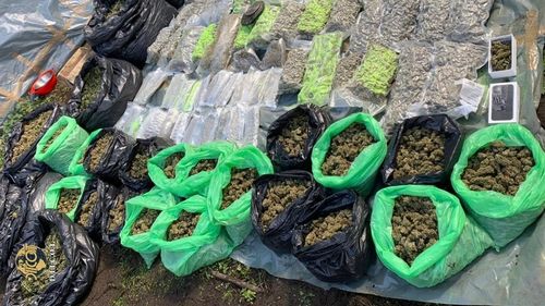 Trafic de droguri: Peste o mie de arestări în primele 11 luni ale anului trecut, o tonă de droguri confiscate