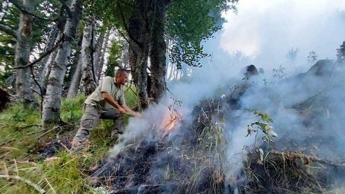 Vâlcea: Incendiu de pădure în Munţii Căpăţânii. Patru hectare de copaci tineri au fost cuprinse de flăcări